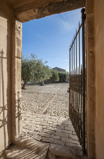 Villa Fegotto - olive tree courtyard