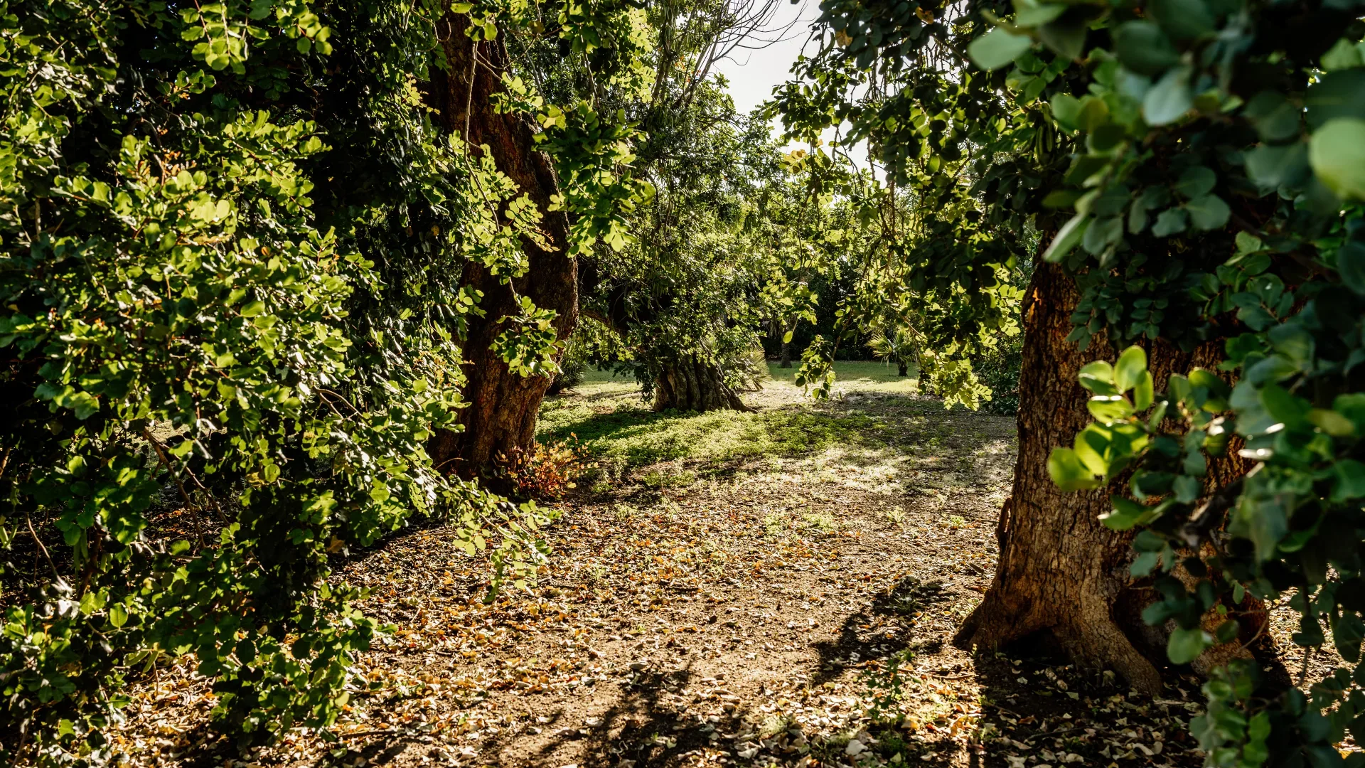 Territorio-Fegotto-2